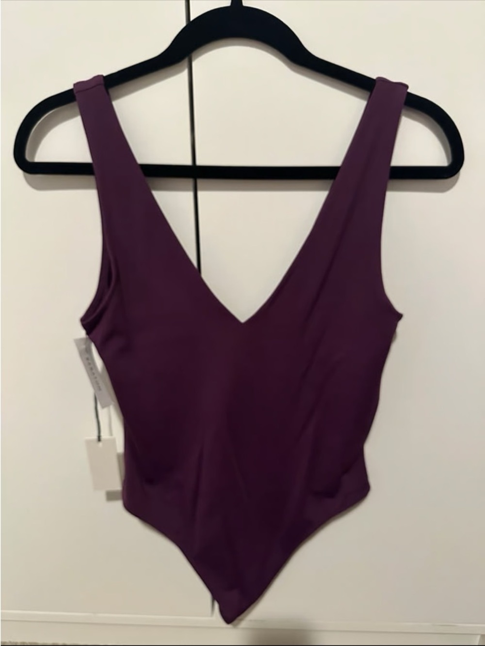 Babaton Deep Plum V-Neck Bodysuit